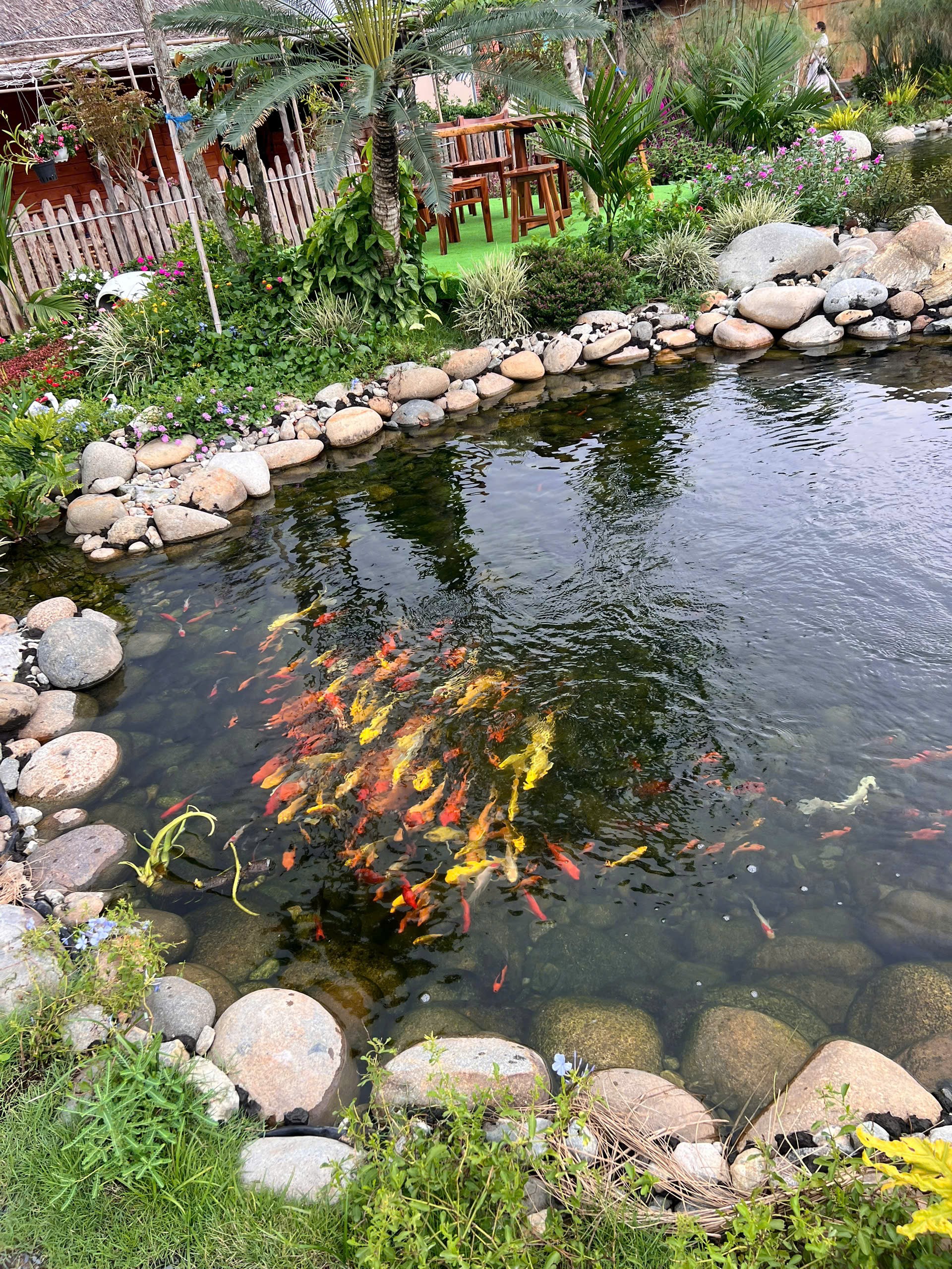 Không gian thư giãn yên tĩnh bên suối cá koi
