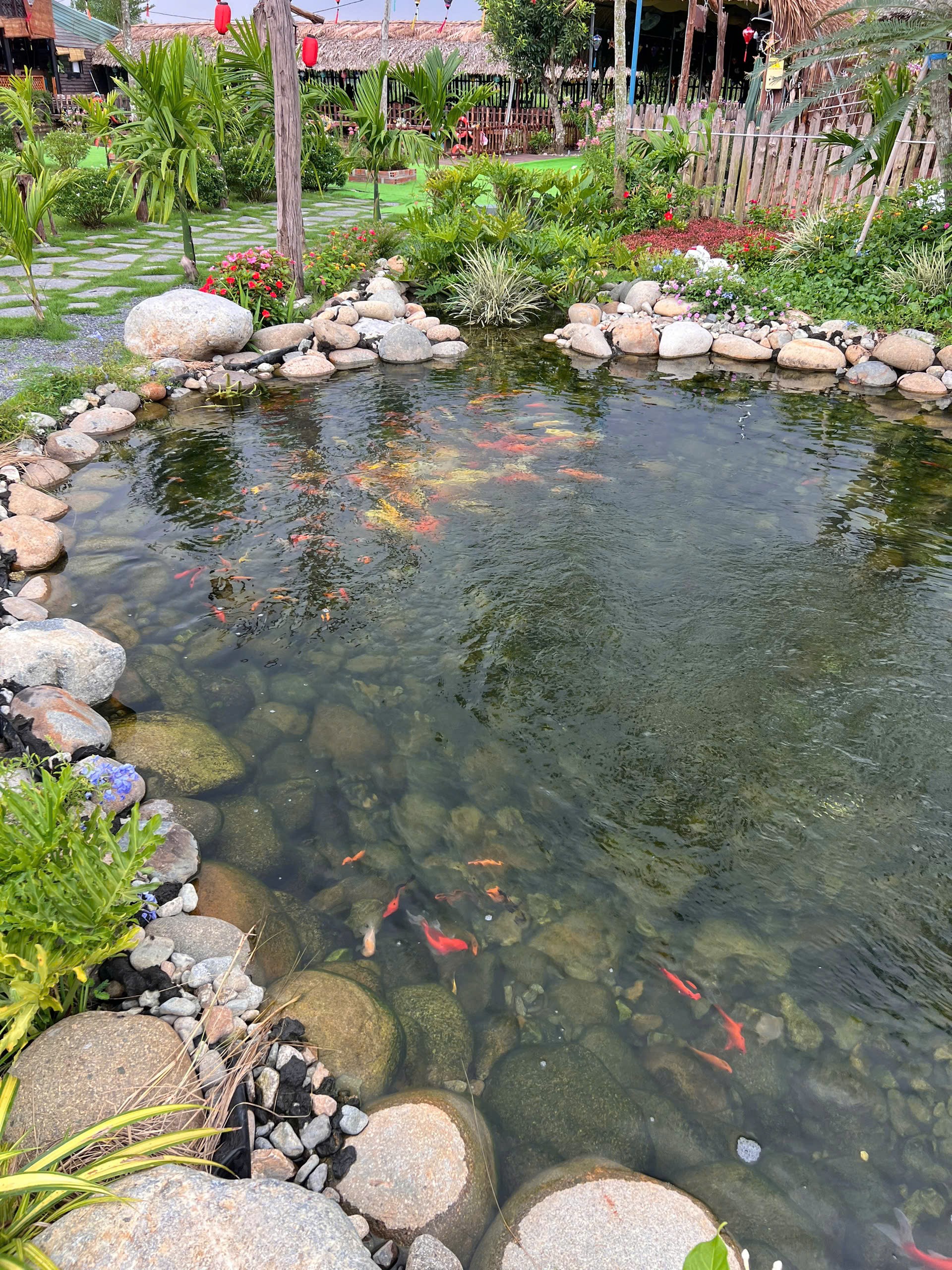 Toàn cảnh khu cà phê suối cá koi Sen Vàng Garden Hóc Môn