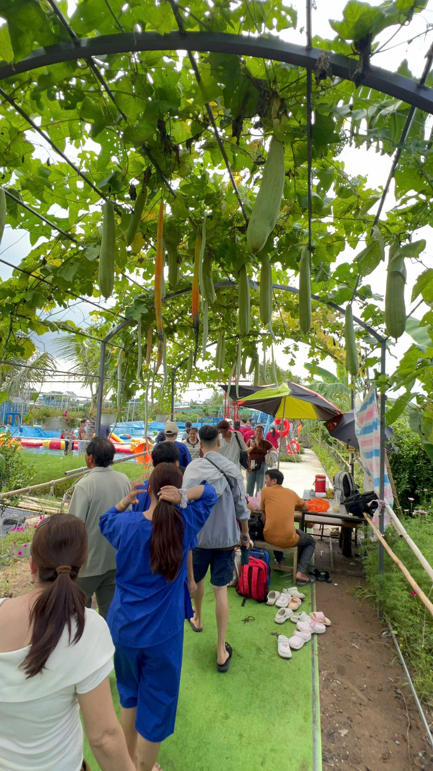 Đoàn khách tham gia Teambuilding tại Sen Vàng Garden