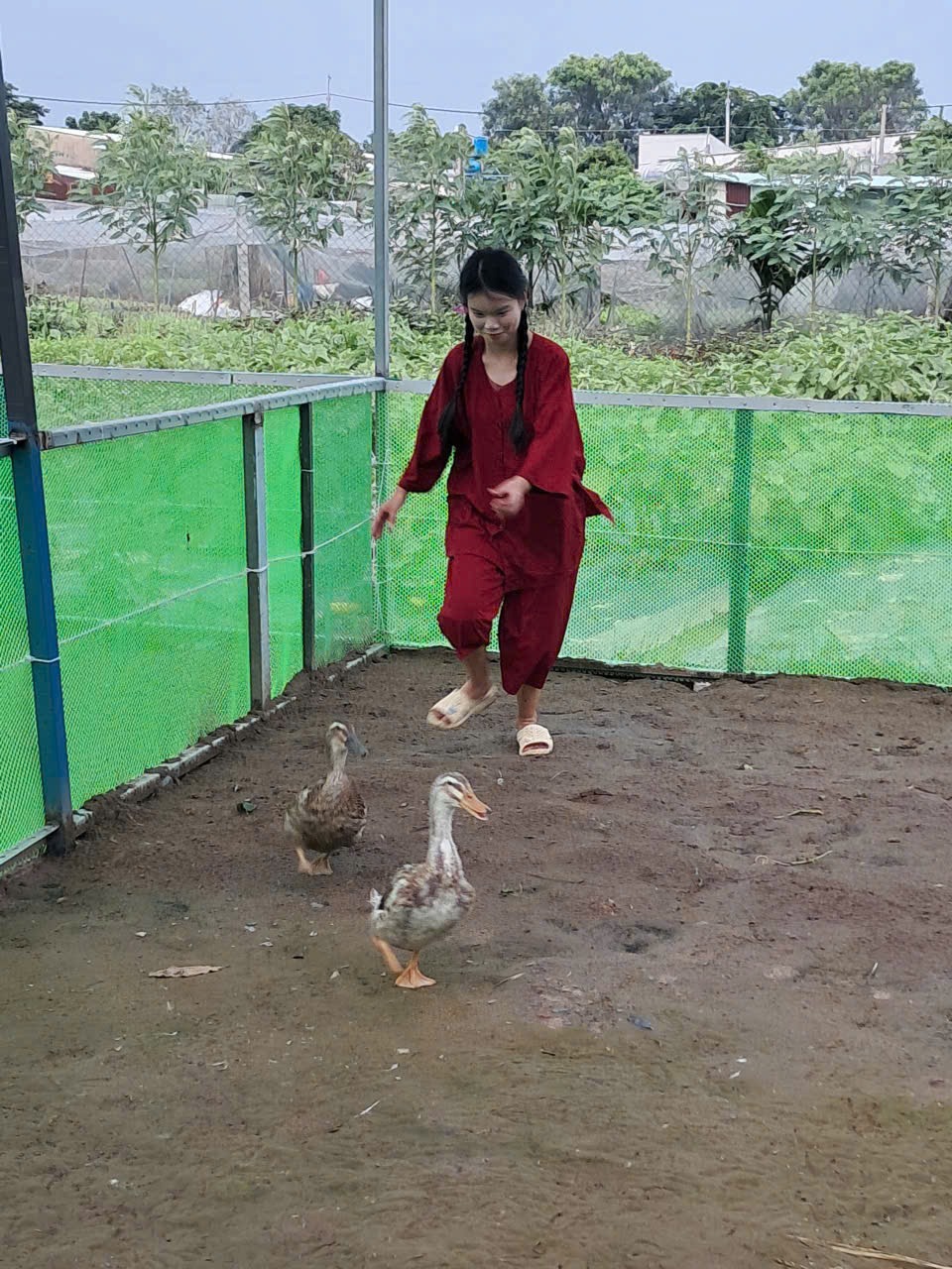 Đến Sen Vàng Garden Trở Về Với Thiên Nhiên: Hành Trình Gắn Kết Tình Cảm Gia Đình & Tuổi Thơ Trọn Vẹn
