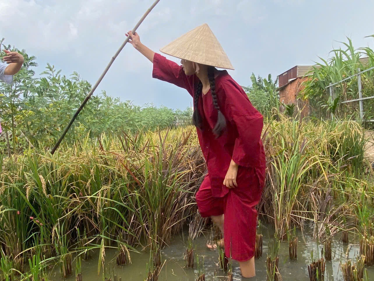 Khoảnh khắc chiến thắng trò chơi bắt vịt Sen Vàng Garden