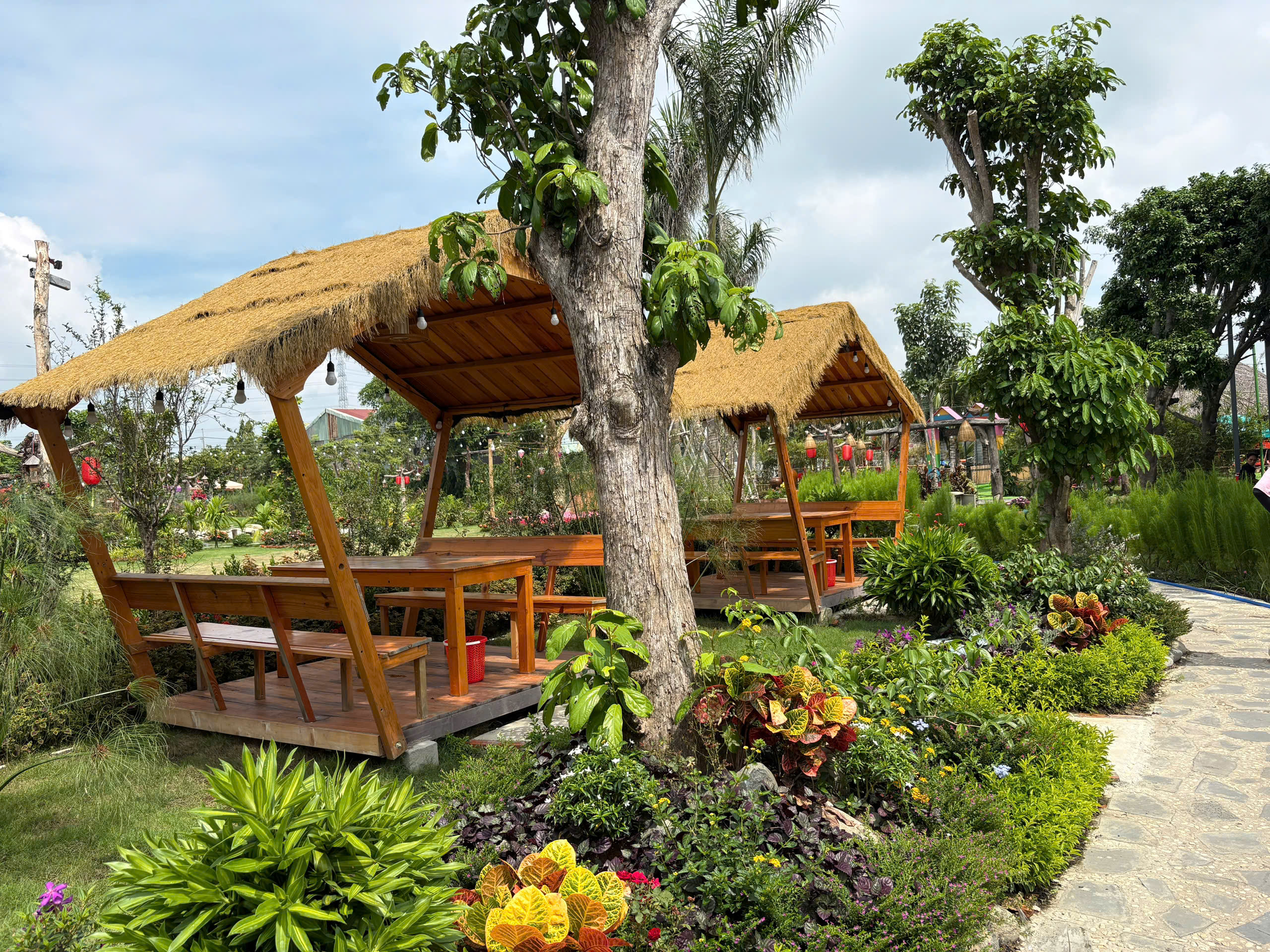 Chòi Chữ A Nép Dưới Tán Cây Cổ Thụ Rợp Bóng Mát Sen Vàng Garden