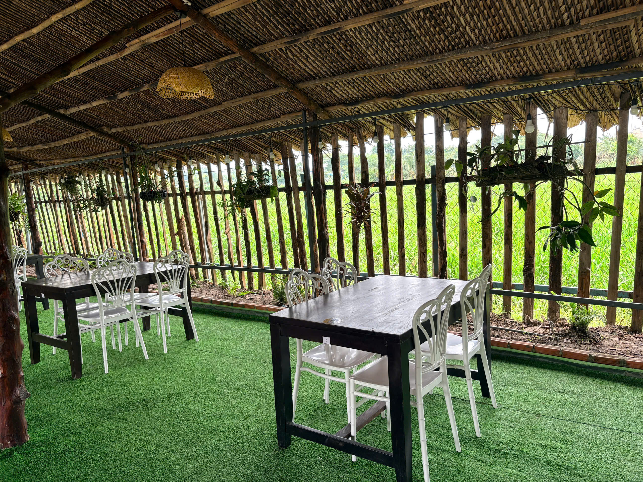 Không gian bàn tiệc ghế trắng view đồng lúa tại Sen Vàng Garden